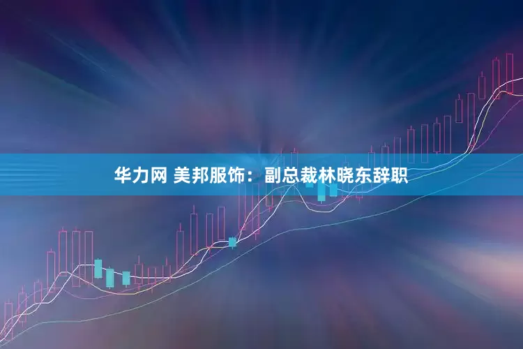 华力网 美邦服饰：副总裁林晓东辞职