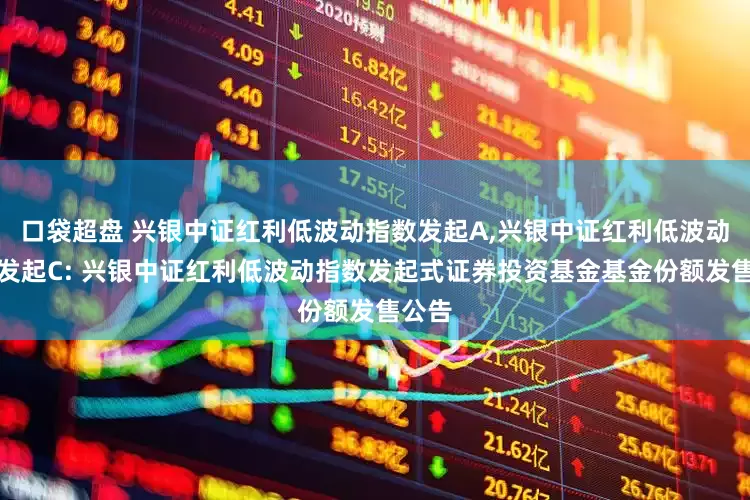 口袋超盘 兴银中证红利低波动指数发起A,兴银中证红利低波动指数发起C: 兴银中证红利低波动指数发起式证券投资基金基金份额发售公告