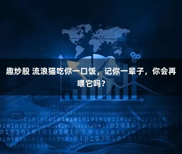 趣炒股 流浪猫吃你一口饭，记你一辈子，你会再喂它吗？