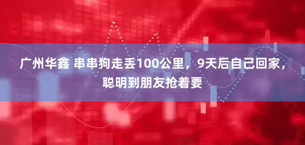 广州华鑫 串串狗走丢100公里，9天后自己回家，聪明到朋友抢着要
