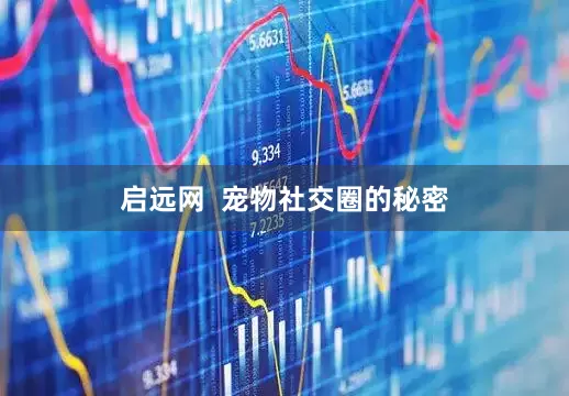 启远网  宠物社交圈的秘密