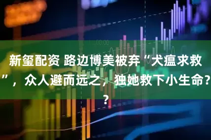 新玺配资 路边博美被弃“犬瘟求救”，众人避而远之，独她救下小生命？