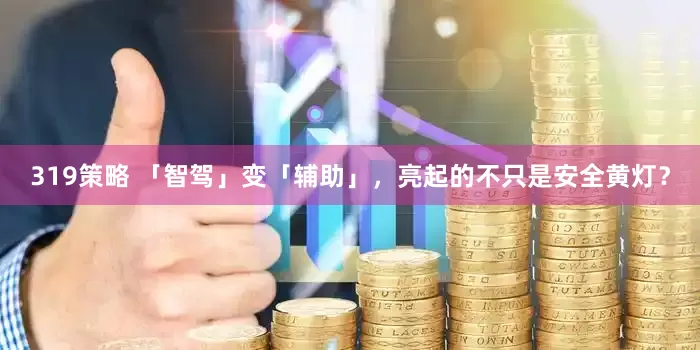 319策略 「智驾」变「辅助」，亮起的不只是安全黄灯？