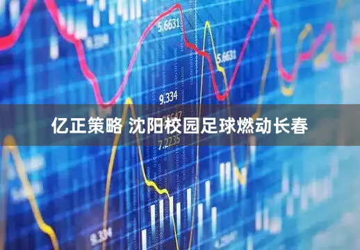 亿正策略 沈阳校园足球燃动长春